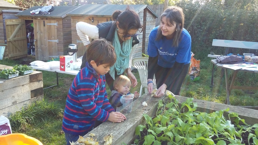 Cultivate a sense of wellbeing on Tonbridge's Let's Grow allotment